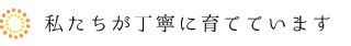 私たちが丁寧に育てています